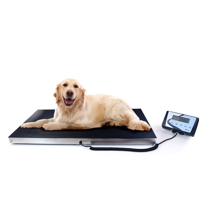 Veterinary Scales |  | www.countyscales.co.uk