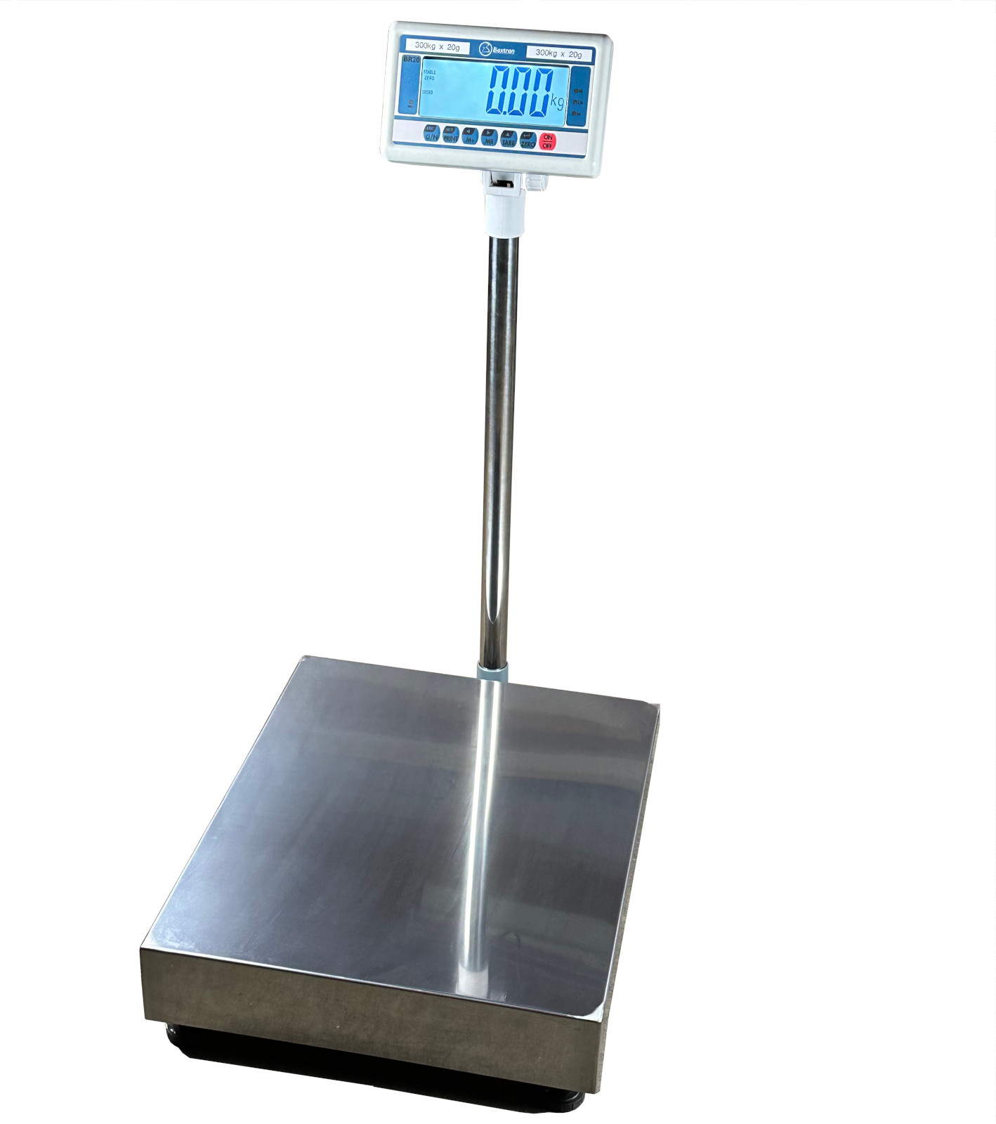 CSG MBR-MS INDUSTRIAL FLOOR SCALES P1