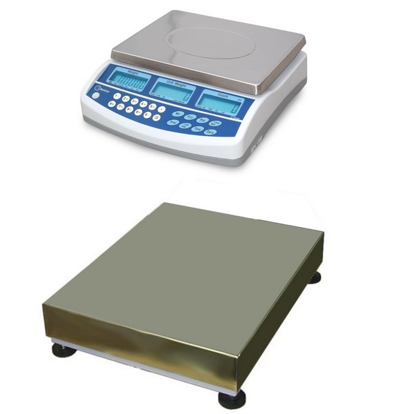 CSG BCD DUAL SCALE REMOTE BASE COUNTING SYSTEM P1