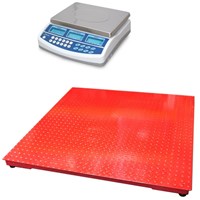CSG BCD DUAL SCALE REMOTE PLATFORM COUNTING SYSTEM | countyscales.co.uk