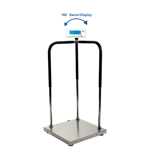 CSG EH-MS HANDRAIL PHYSICIAN SCALE P1