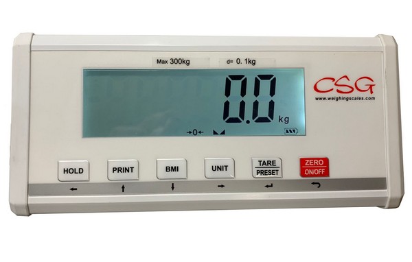 CSG EH-MS HANDRAIL PHYSICIAN SCALE P3