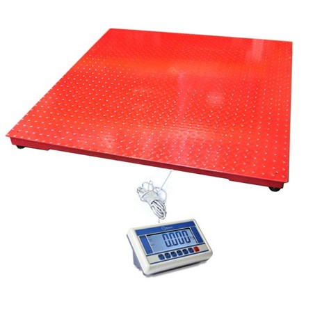 CSG BR SERIES PLATFORM SCALE | weighingscales.com